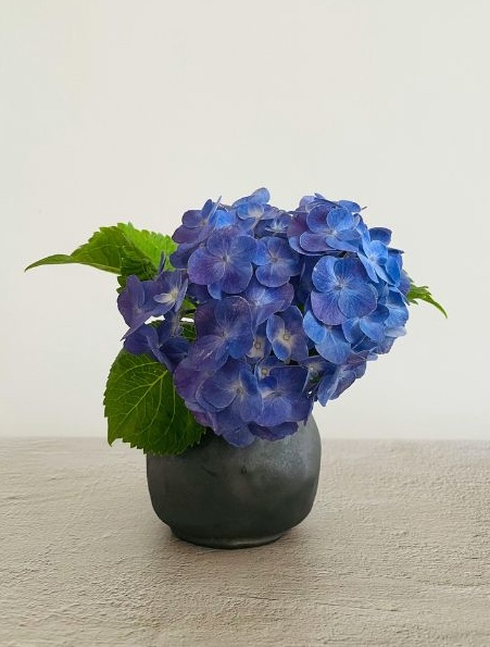 trier ranger déménager organiser AD Espace interieur home